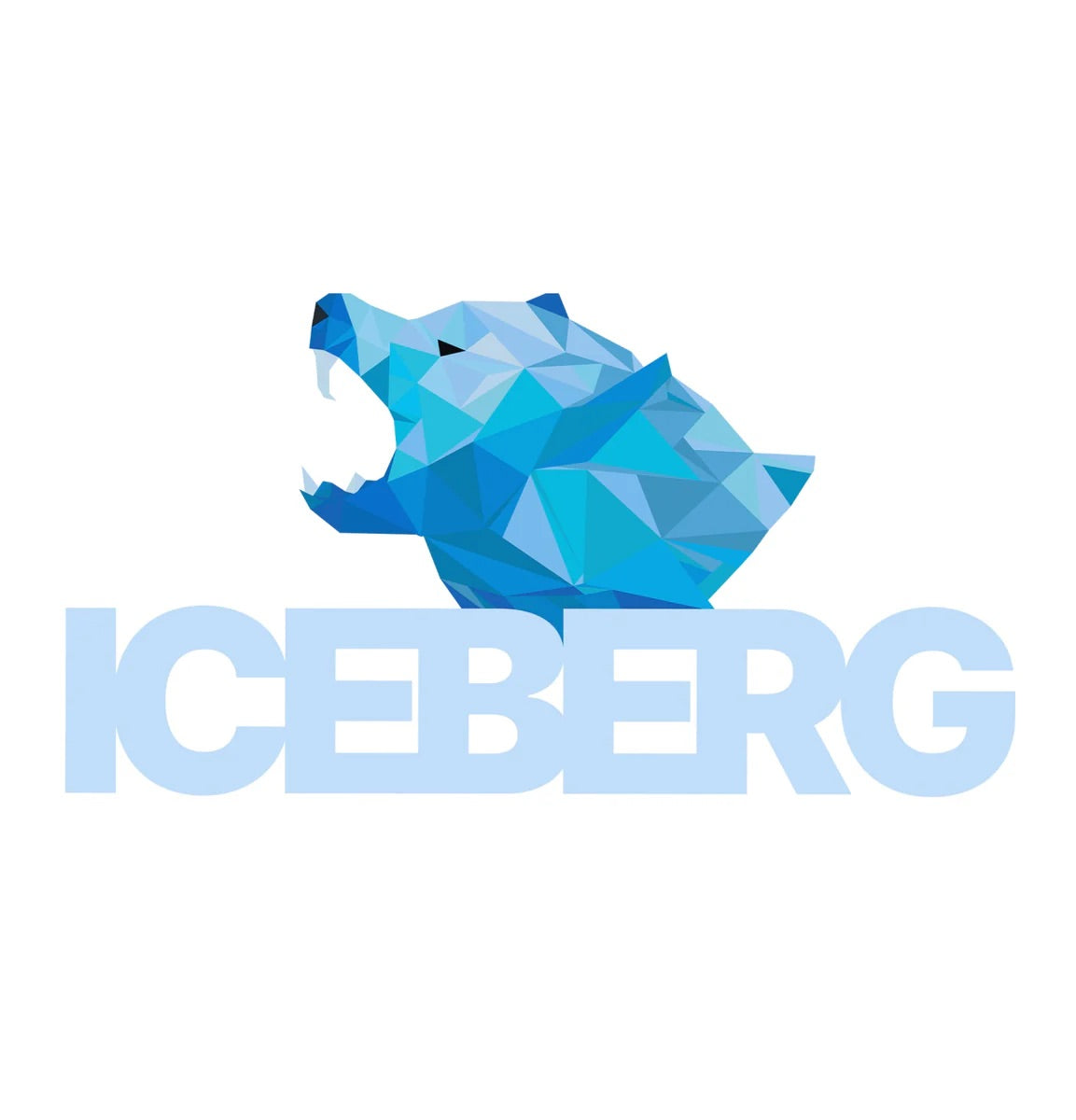 Iceberg